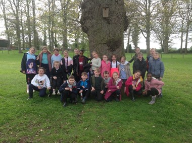 Year 4 Spring Explorers